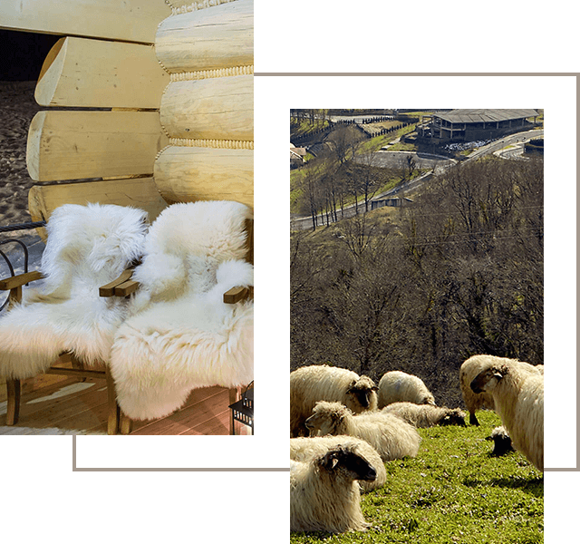Our Company is a manufacturer of tanned sheepskin